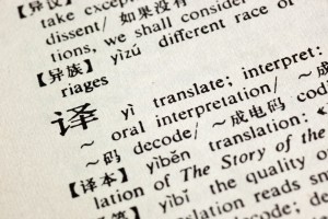 Dictionary-Page-from-TRANSLATE