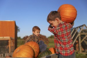 boy carrying pumpkins