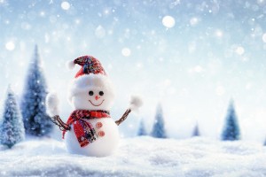 snowman_main