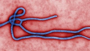 cc_ebola
