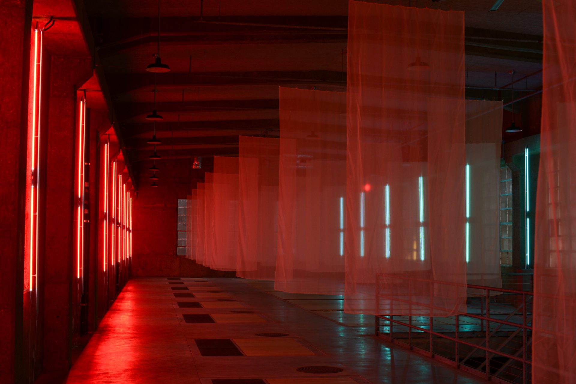 Anahita (Ani) Bradberry: Spectral Field